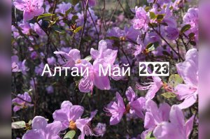 Первый выезд на Алтай, май 2023