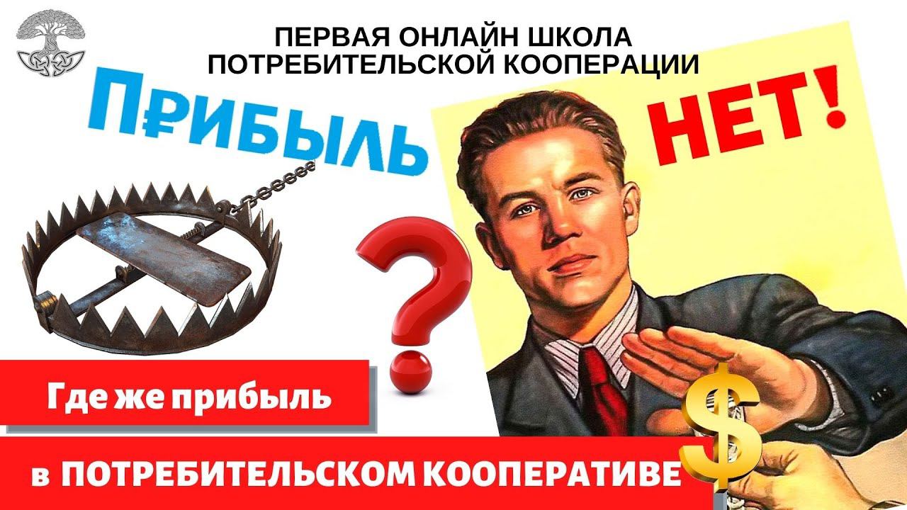 Прибыль в Потребительском Кооперативе. Где она, а вообще она нужна? Преимущества модели. Часть 1