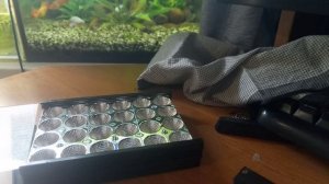 МА: поменялся на жёсткий коралл.