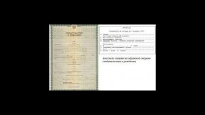 Апостиль свидетельства о рождении: как сделать