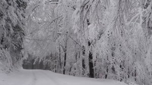 My December - Linkin Park Remix