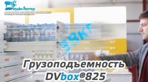 Грузоподъемность рецептурного шкафа DVbox®825