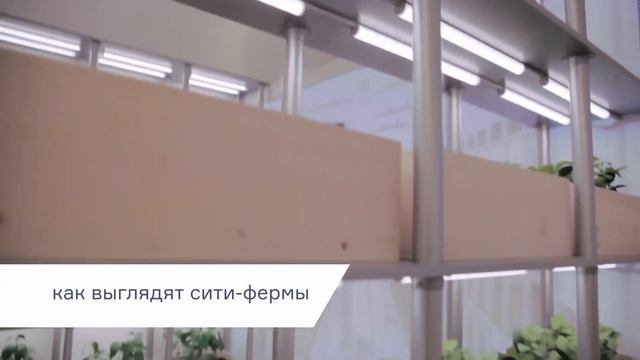 Музей "БИОТЕХ" на ВДНХ смотреть онлайн