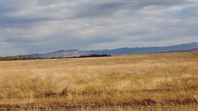 Возле Сары Озек смотреть онлайн