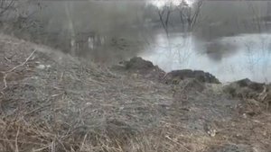 Видео-Гид Прогулка По Реке Тускарь