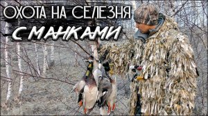 Охота с духовыми манками на селезня | Весенняя охота