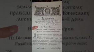 Мне пришла посылка. #Отрок Вячеслав.#Камушки Отрока Вячеслава.