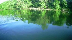 Ловля жереха на Суре