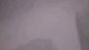 Шок ребёнок упал в клетку к Горилам