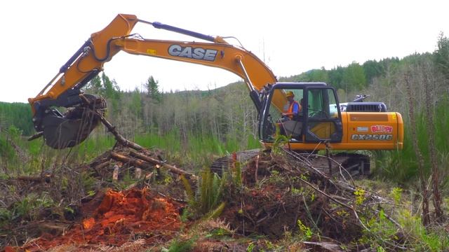 Блиппи изучает автобус - Блиппи на Русском - Изучай этот Мир вместе с Блиппи - Blippi смотреть онлайн