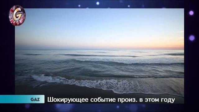 Это Шокирующее Событие Произошло в Прошлом Году