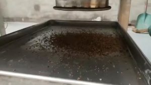 BSC-300 измельчитель мускатного ореха дробилка для мускатного ореха машина для производства гранул