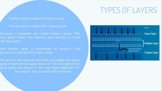 BUILD A OBJECT DETECTION SYSTEM USING PYTHON | COMPUTER VISION