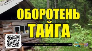 ИСТОРИИ НА НОЧЬ из ЖИЗНИ ЛЕСНИКА СУДЬБА ЖИЗНЬ МЕДВЕДИ ВОЛКИ в ЛЕСУ СЕРИАЛ ВСЕ СЕРИИ