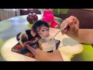 Люся ЛОПАЕТ КАШУ, ложечку за маму, ложечку за папу))))