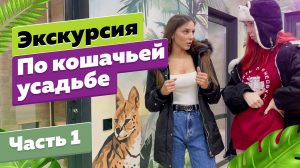 Автомышь берёт интервью? Экскурсия по кошачьей усадьбе? Часть 1