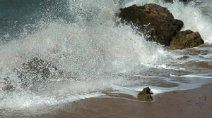 Грёзы любви стихи О. Руди