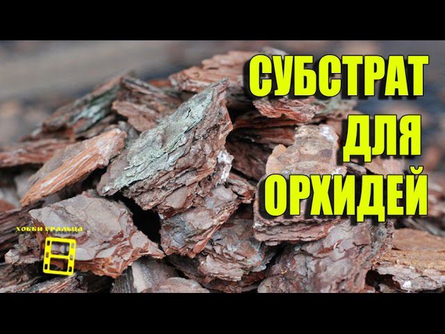 ГРУНТ (СУБСТРАТ) ДЛЯ ОРХИДЕЙ ФАЛЕНОПСИС. ОРХИДЕИ В ДОМАШНИХ УСЛОВИЯХ
