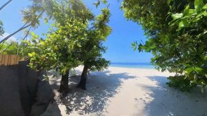 Malahini Kuda Bandos / Ada Resort - Island Resort / Maldivler - Maldives #maldives #insta360