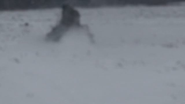 супер класс от петручио 12.11.16 смотреть онлайн