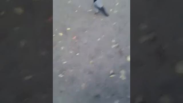 Борзая ворона 2 смотреть онлайн