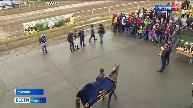 На ипподроме в Майкопе состоялись скачки, посвященные Дню республики смотреть онлайн