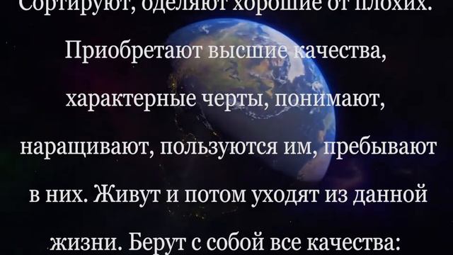 Люди - Инопланетяне 👽! смотреть онлайн