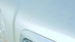 Дневник Терракана / Выбор бу Hyundai Terracan / Часть 1 Рама Кузов Двигатель Ходовая