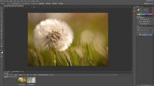 Photoshop CS6 Tutorial for Beginners - Tools and Zoom HD