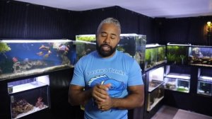 How to Setup an AFRICAN CICHLID Aquarium