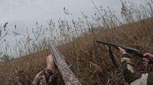 ОХОТА ПО ПЕРУ. Часть 1. Первый снег в Краснодарском крае.