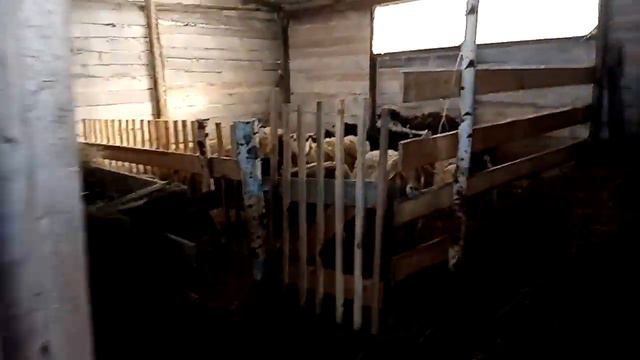 Как всегда все здорово и хорошо .