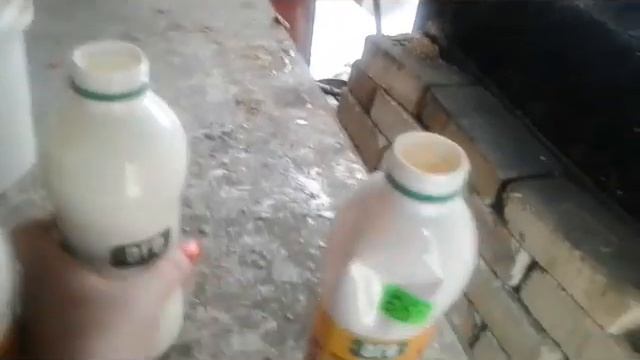 ОБЗОР .ОТКОРМ СВИНЕЙ