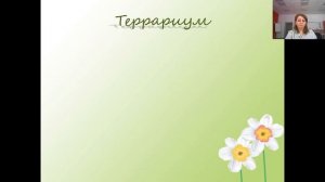 Урок по технологии "Роль комнатных растений в интерьере" преподаватель Никишева А. В.