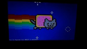 MEMZ 5.0 alpha's nyan cat on my laptop for a little over 420 seconds
