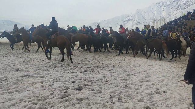 Бузкаши Дар Н.Рашт 5.февлар д.нимич 2023г смотреть онлайн