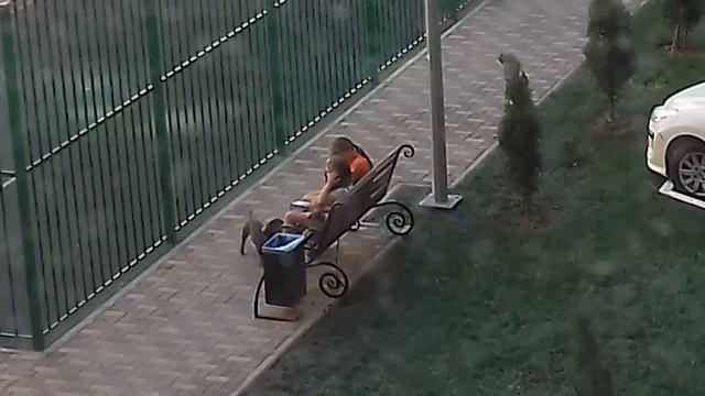 Живадеры