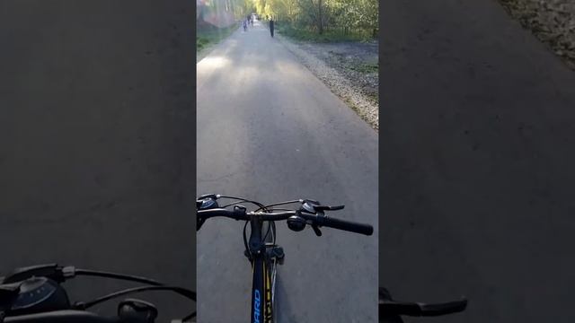 Карантин 2020)
