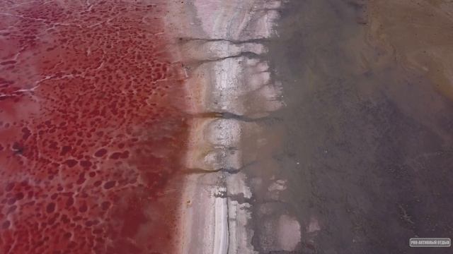 Мы нашли сердце Алтая! п.Малиновое озеро, озеро Печатное / Красоты Алтайского края
