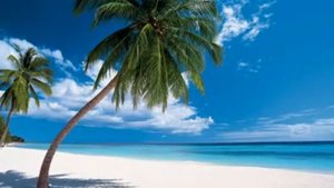 Тур в Доминикана, Пунта Кана из Москвы от 70 000р.