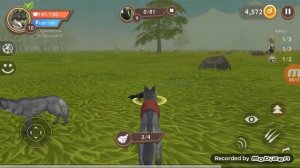 Игра про волка