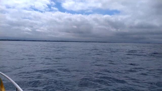 Рыбалка в Атлантическом океане/Хороший улов за 2 часа/Скумбрия, Морской окунь, Руже/Франция смотреть онлайн