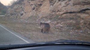 Карачаево Черкессия