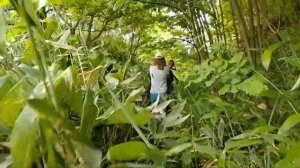 Чертов мост, Ведьмин мост и маяк на мысе Слепиковского