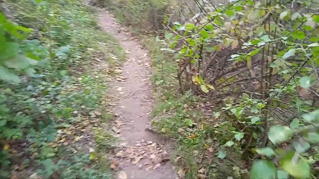 Прогулка в Цыпово Музыка для релаксации и медитации из фонотеки ютуба смотреть онлайн