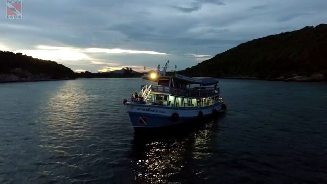 Hardeep Wreck & Night Diving at Koh Chan Island of Samaesan Archipelago | Scuba Diving in Pattaya смотреть онлайн