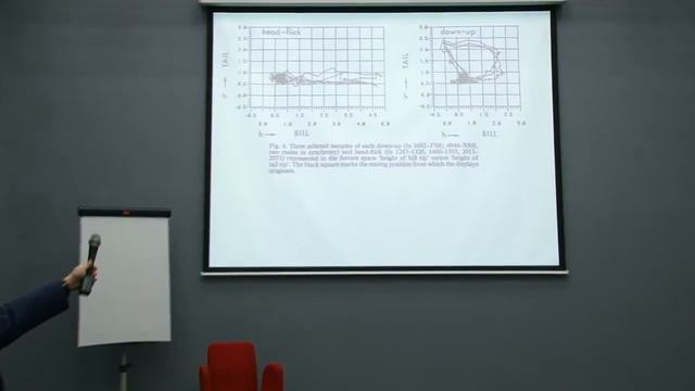 Как изучают этологи поведение животных? смотреть онлайн