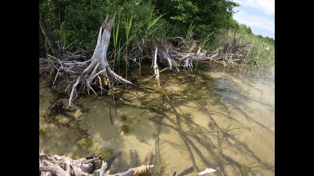 Наш отдых на озере Сугояк Челябинская область смотреть онлайн