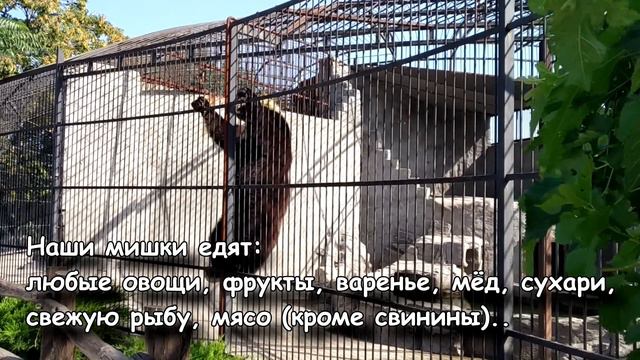 Необходима ваша помощь!!!