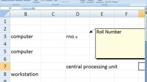 Microsoft Excel 2007-Review Tab-Comments Group-Day -20